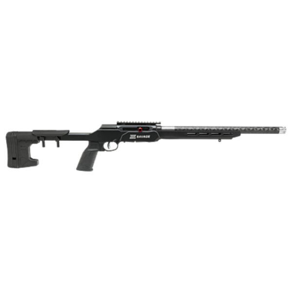 savage arms a22