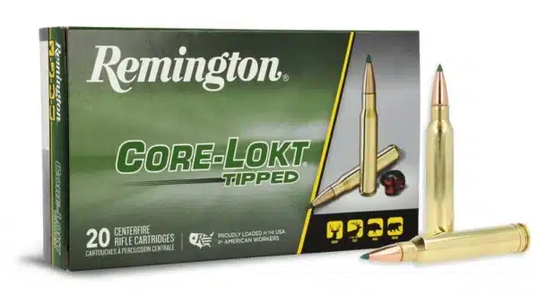 REM 300 WIN MAG 180GR CORE-LOKT