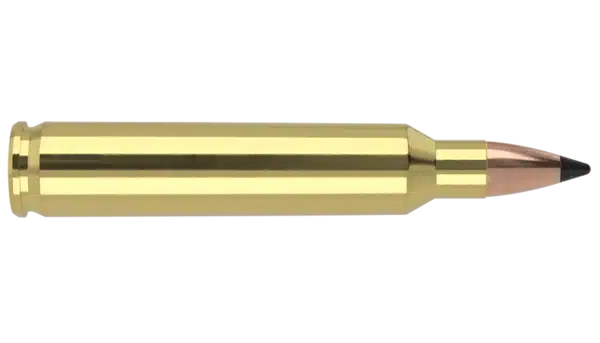 A detailed graphic of a gold-colored bullet cartridge with a copper bullet tip.