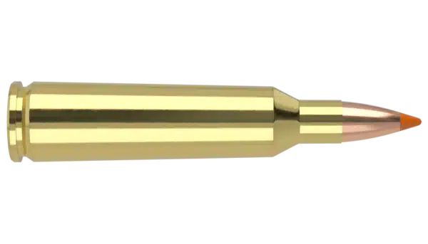 NOSLER 22-250 REM 55GR BALLISTIC TIP VARMINT - Image 2