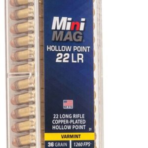 A box of CCI Mini-Mag .22 LR hollow point cartridges with one bullet displayed beside it.