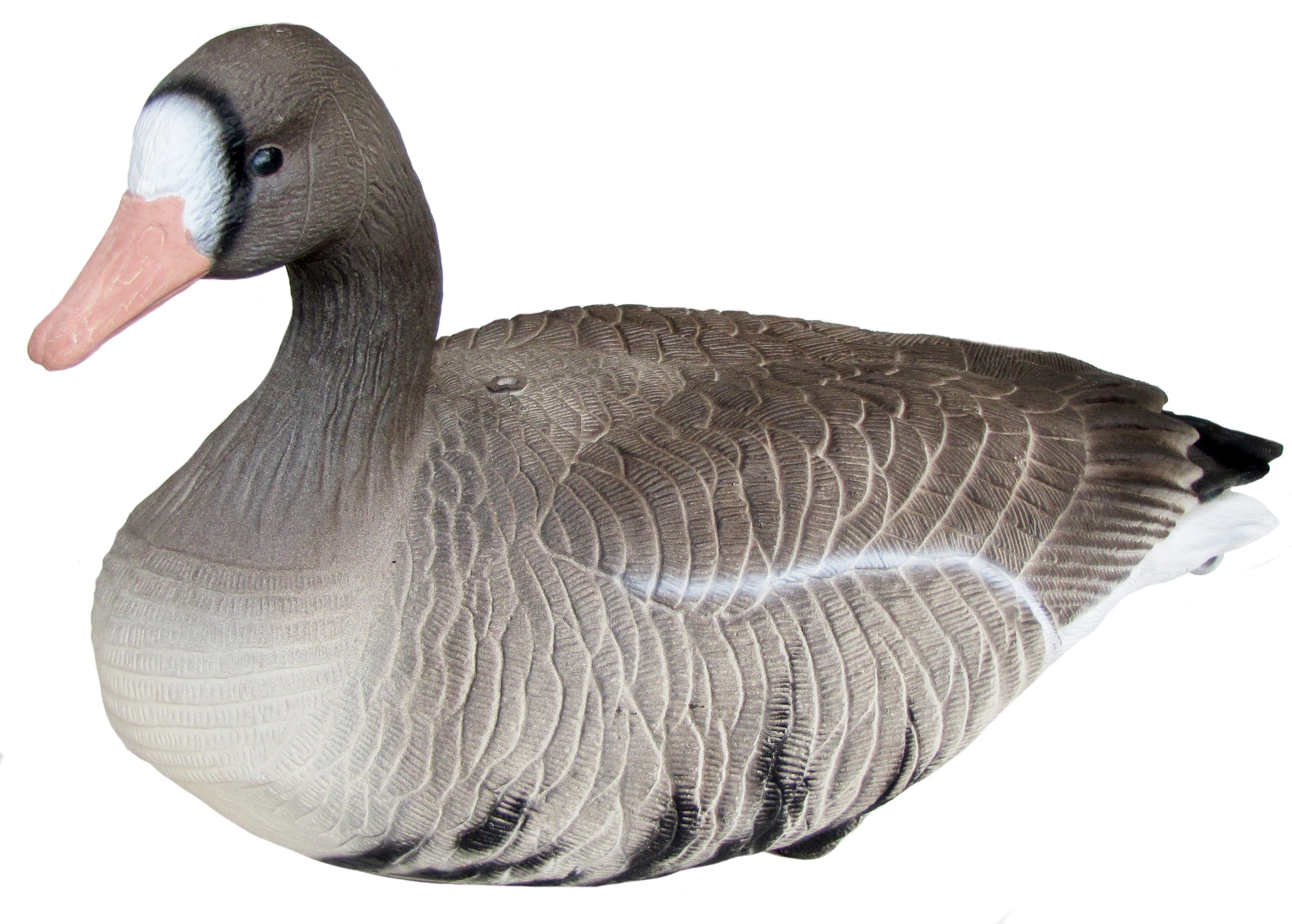 Mayhem Decoys Specklebelly Decoy