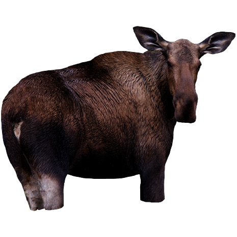 Montana Decoy Co Moose II